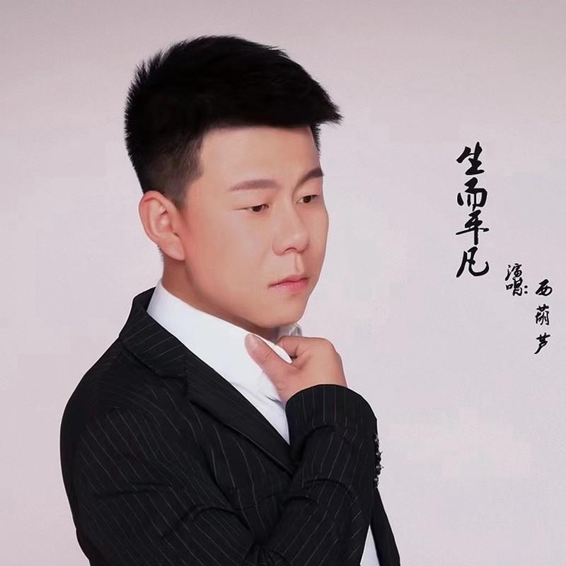 生而平凡DJ阿远版 (伴奏) - 西葫芦封面