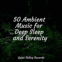 50 Ambient Music for Deep Sleep and Serenity