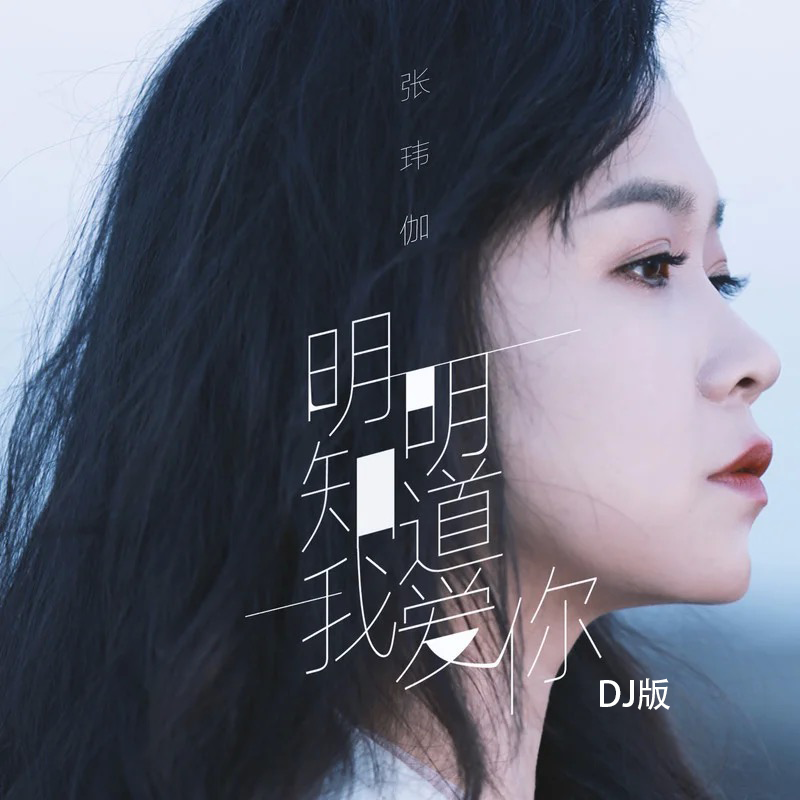 明明知道我爱你（DJ版）封面