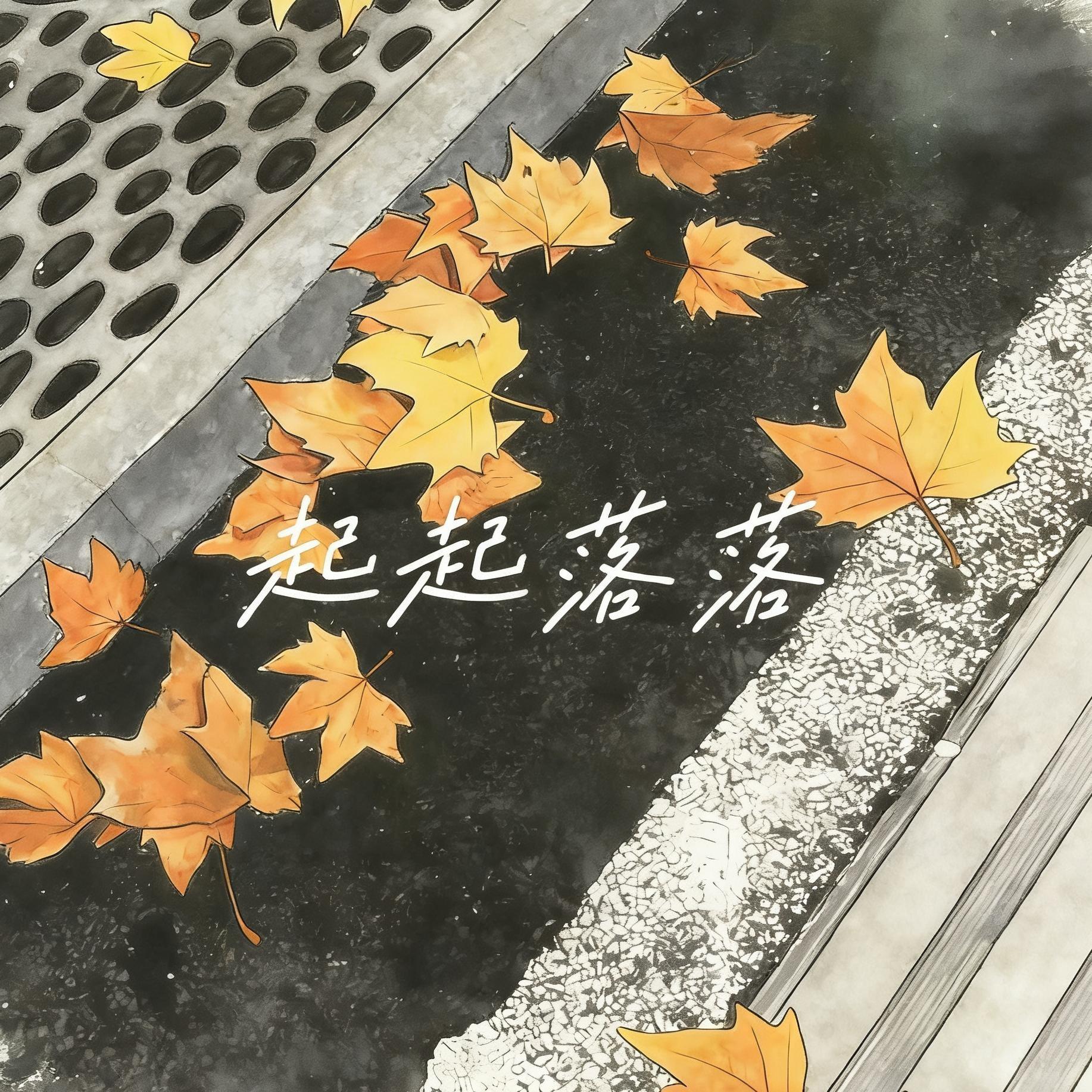起起落落封面