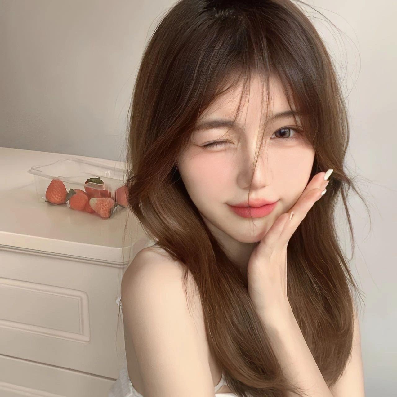 树上的候鸟封面
