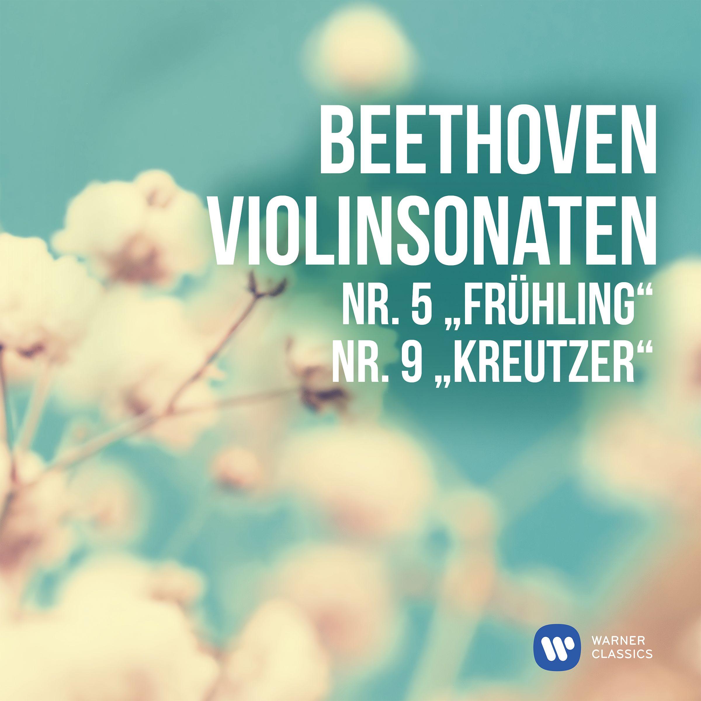 Violin Sonata No. 5 in F Major, Op. 24 "Spring":I. Allegro