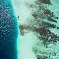 Tropicana资料,Tropicana最新歌曲,TropicanaMV视频,Tropicana音乐专辑,Tropicana好听的歌