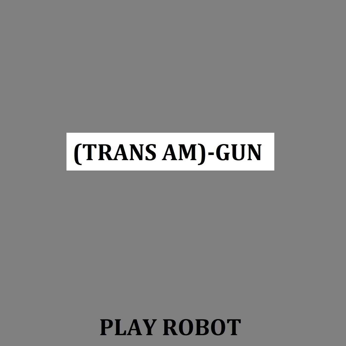 (Transform)-Gun
