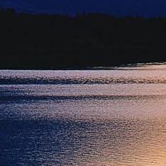 死心塌地爱着你