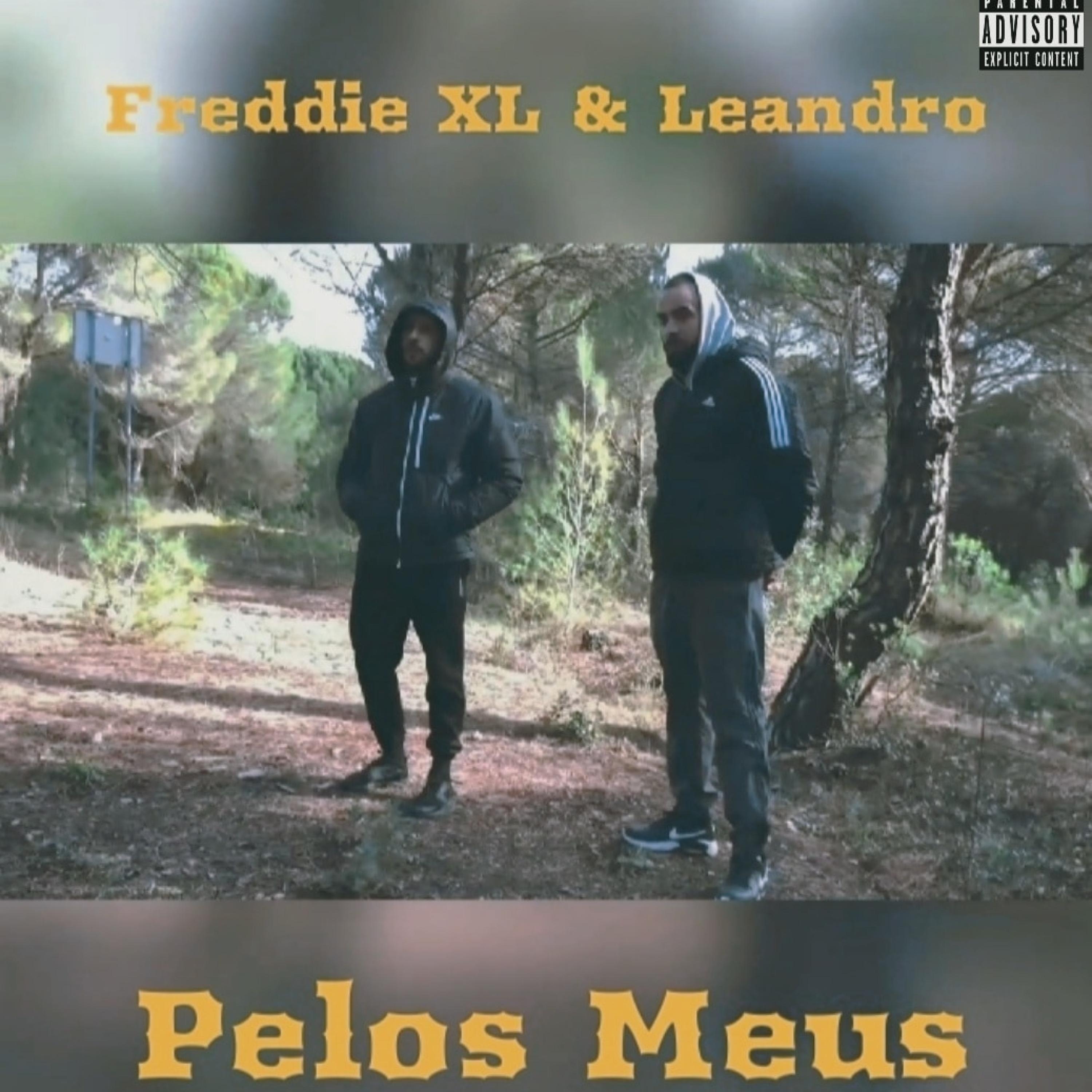 PELOS MEUS (feat. Leandro)