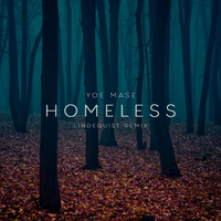 Homeless (Lindequist Remix)