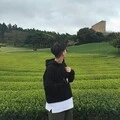 我被爱判处终身孤寂封面