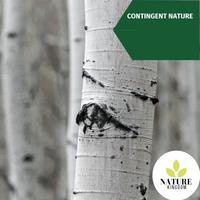 Contingent Nature