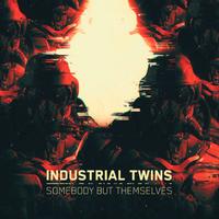 Industrial Twins