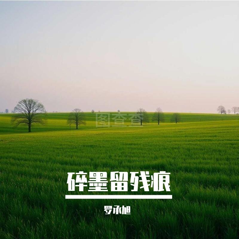 碎墨留残痕封面