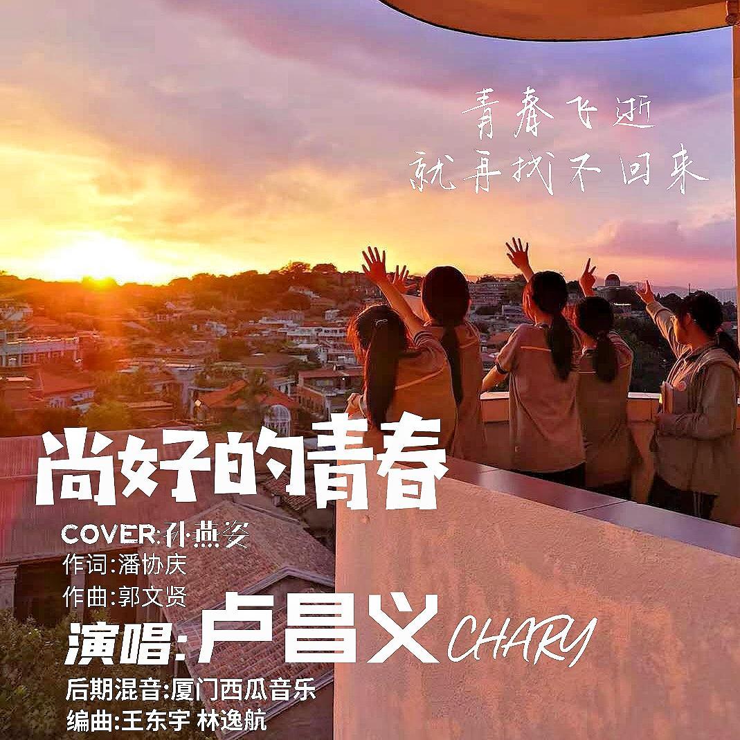 尚好的青春封面