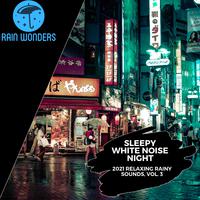 Sleepy White Noise Night - 2021 Relaxing Rainy Sounds, Vol. 3