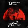 Tungevaag & Raaban - Wolf (Extended Mix)