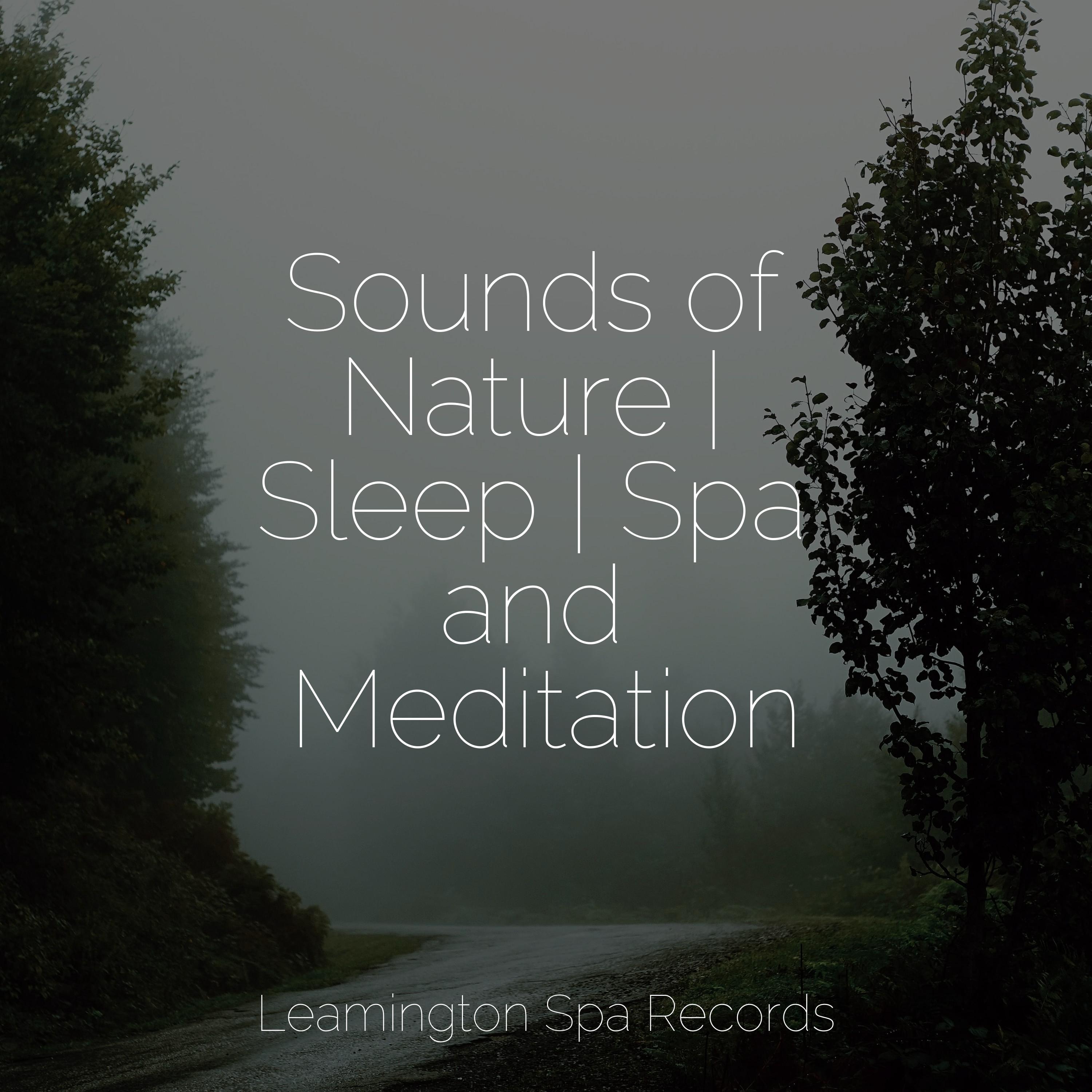 sleeping-on-clouds-zen-music-garden-pure-serenity-spa-music-massage