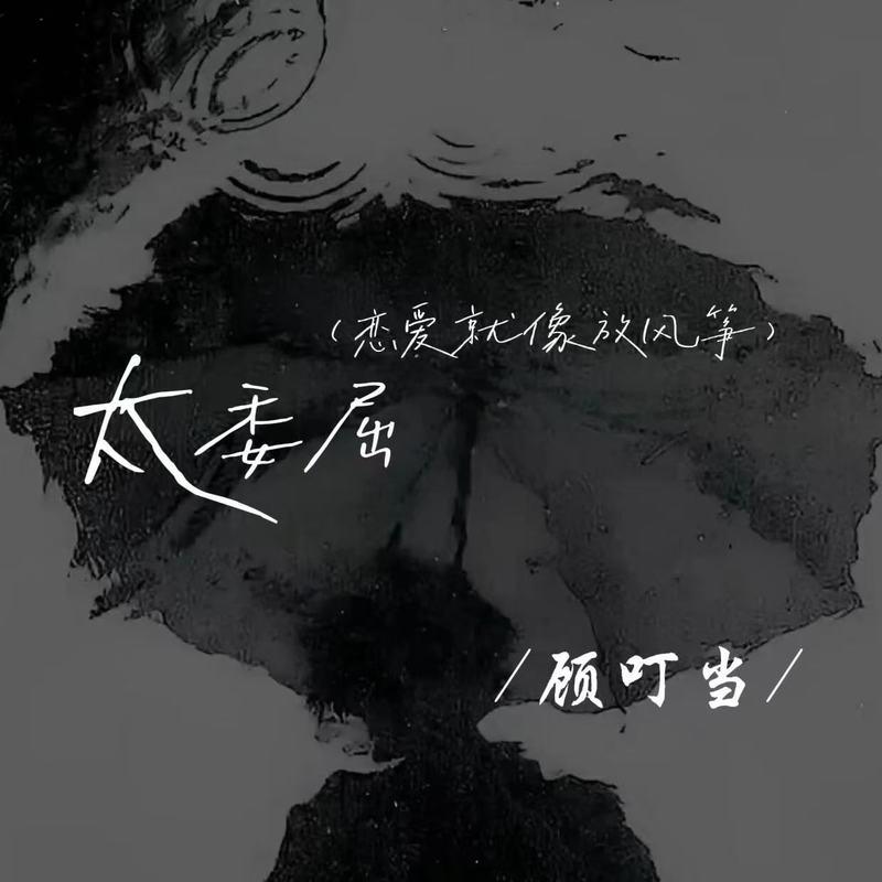 太委屈(恋爱就像放风筝)封面