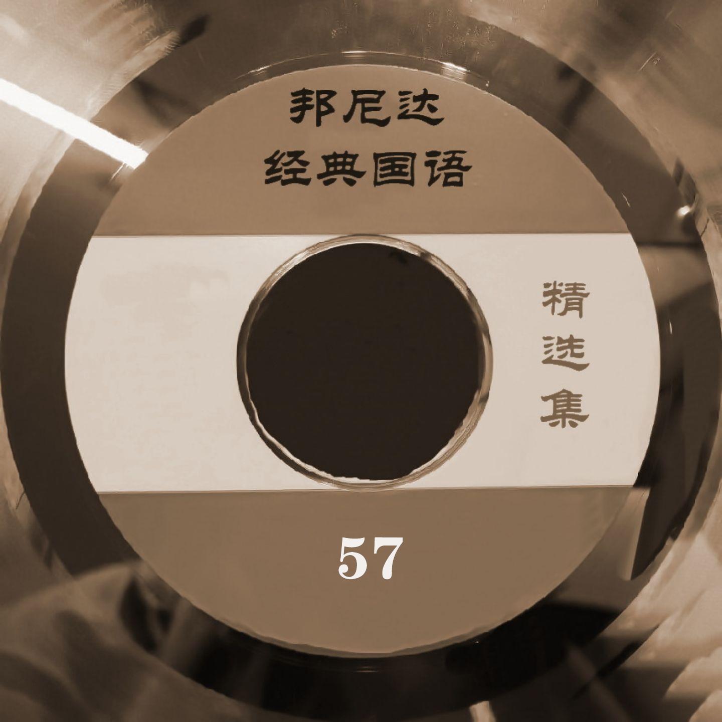 一辈子的错封面