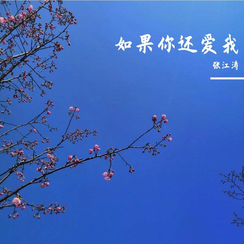 今生不相逢封面