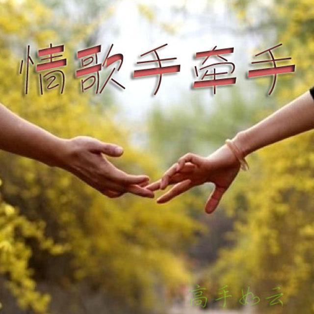 柔柔的眼波柔柔的你封面