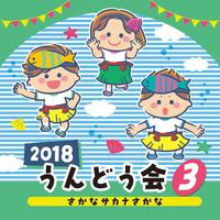 2018 うんどう会 (3)