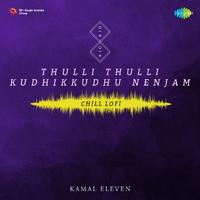 Thulli Thulli Kudhikkudhu Nenjam - Chill Lofi