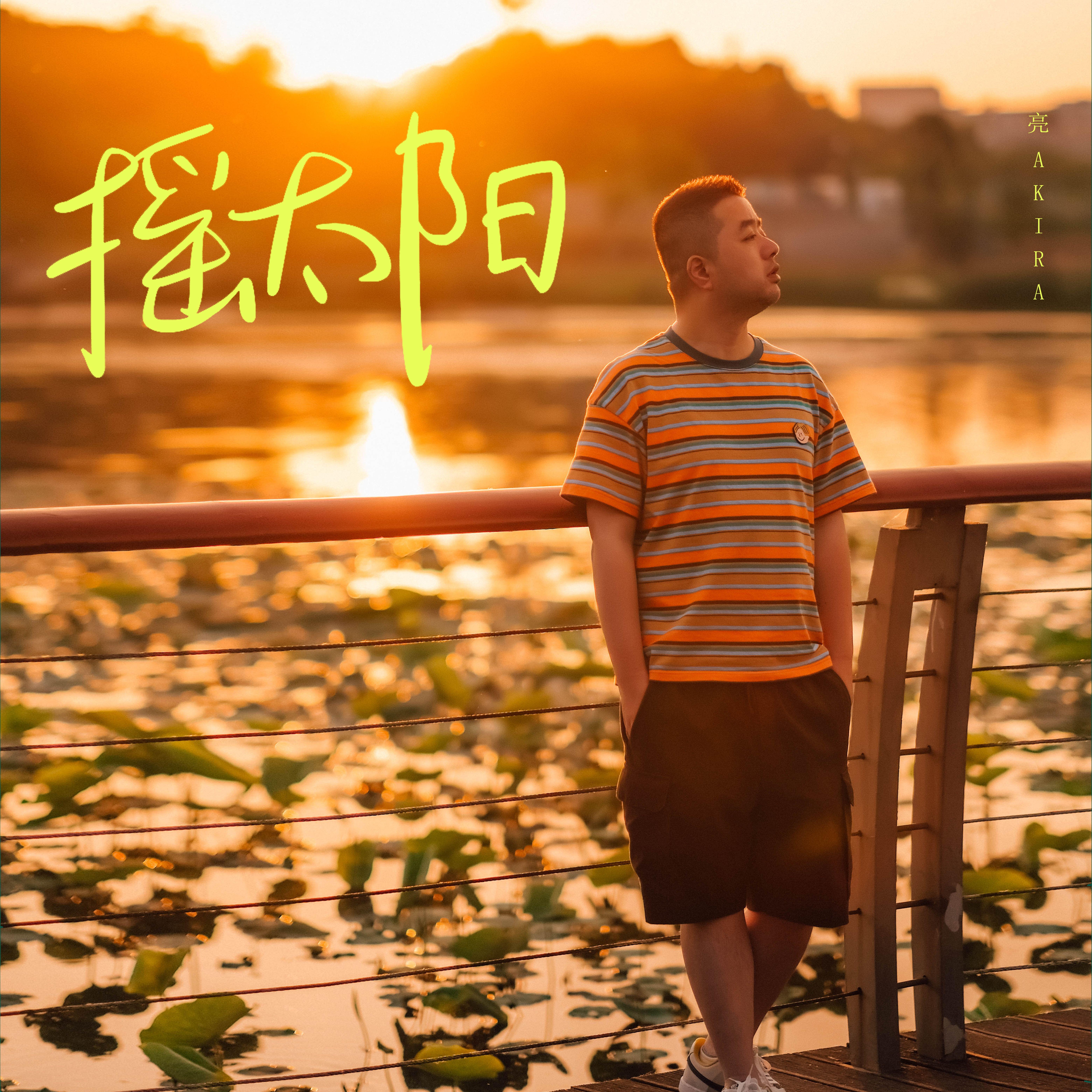 摇太阳封面
