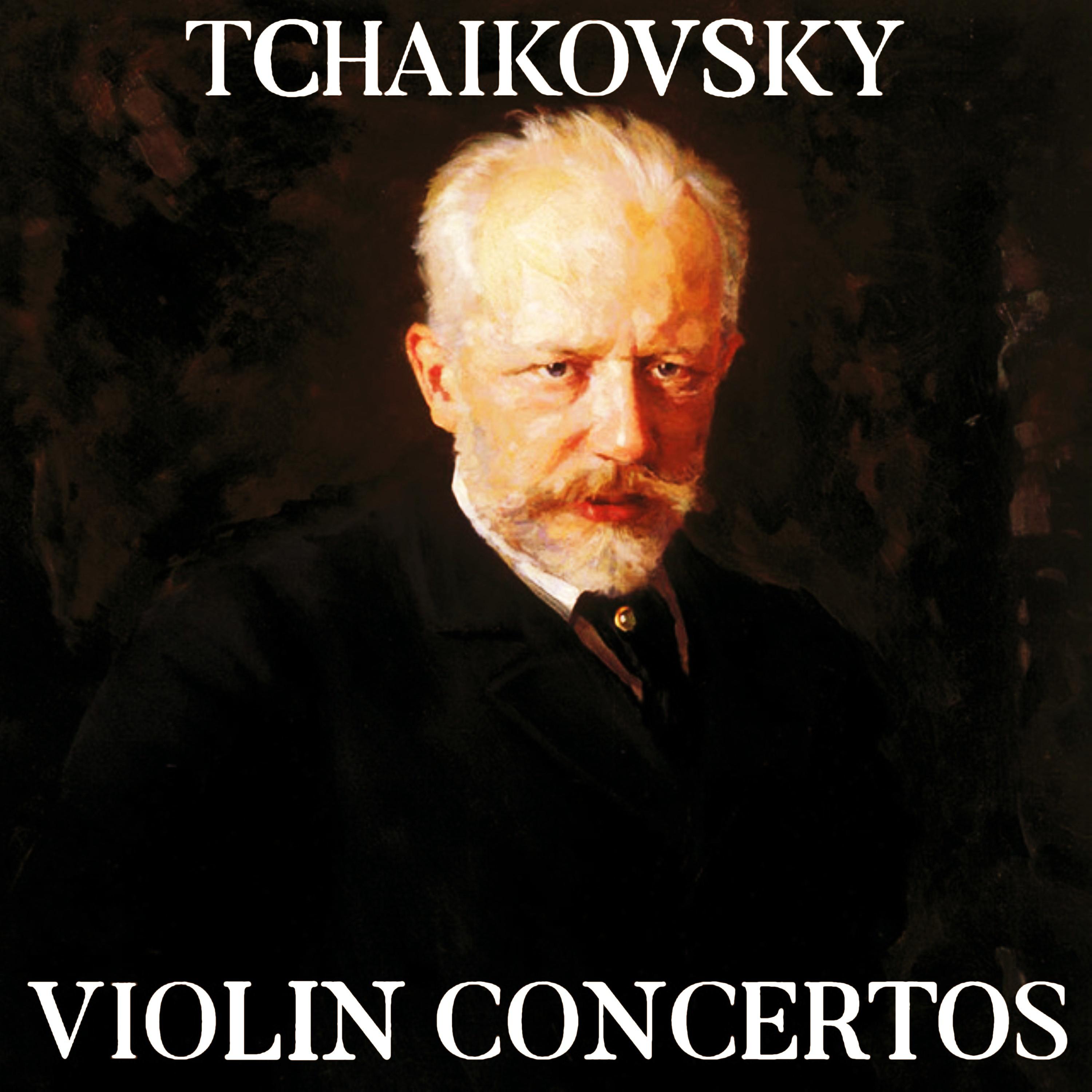 Violin Concerto in D Major, Op.35:I. Allegro moderato
