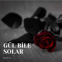 Gül Bile Solar