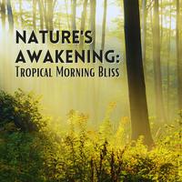 Nature's Awakening: Tropical Morning Bliss