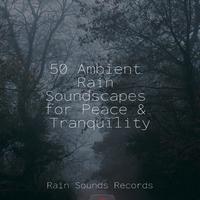 50 Ambient Rain Soundscapes for Peace & Tranquility