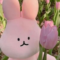 瑶瑶不吃豆芽资料,瑶瑶不吃豆芽最新歌曲,瑶瑶不吃豆芽MV视频,瑶瑶不吃豆芽音乐专辑,瑶瑶不吃豆芽好听的歌