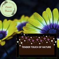 Tender Touch of Nature