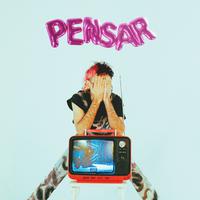 PENSAR