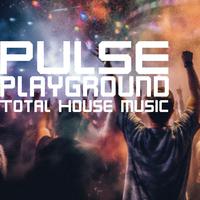 Pulse Playground, Total House Music