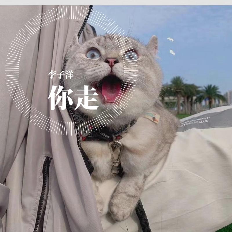 你走（片段）封面