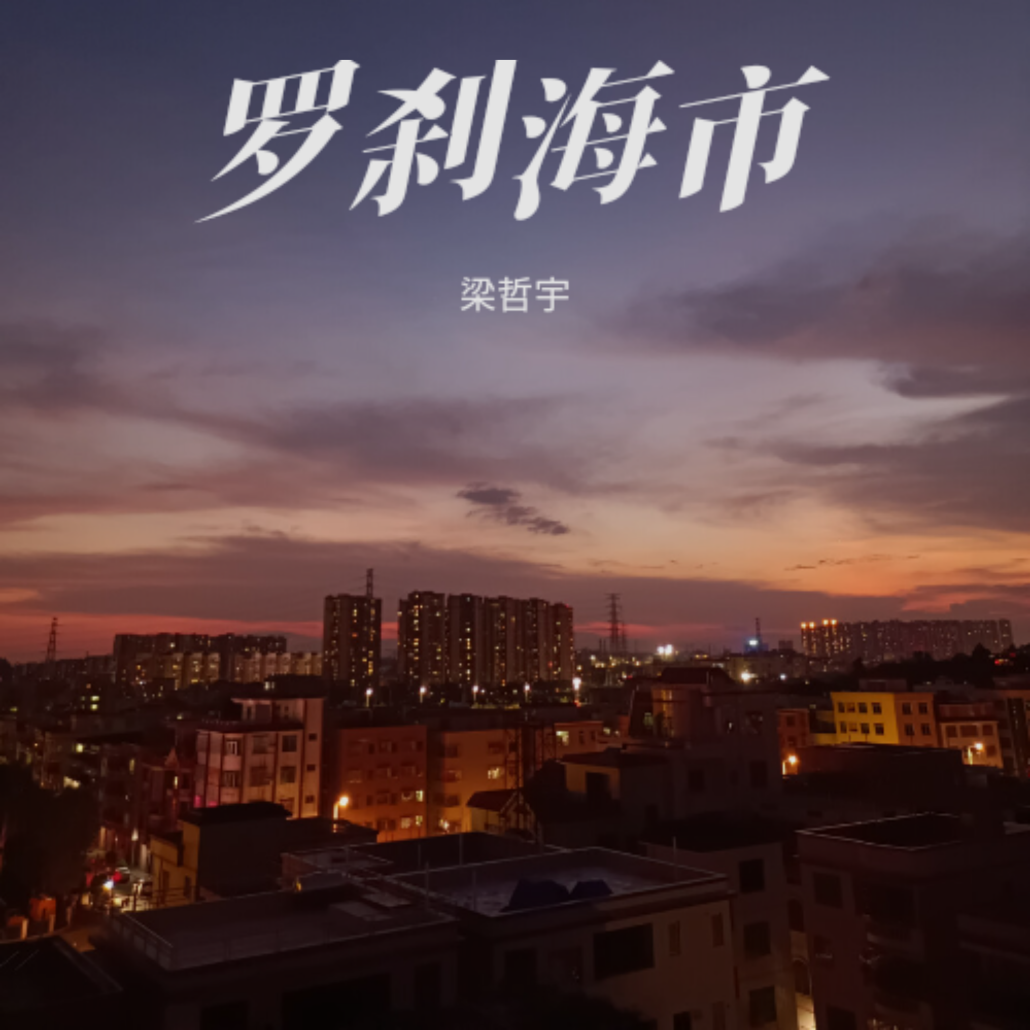 不存在的情人封面