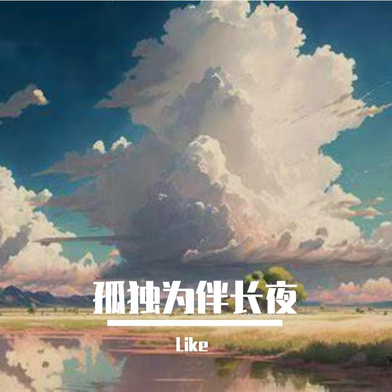 孤独为伴长夜封面