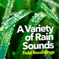 A Variety of Rain Sounds