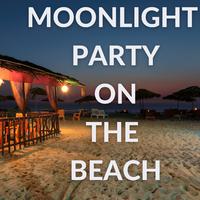 Moonlight Party on the Beach