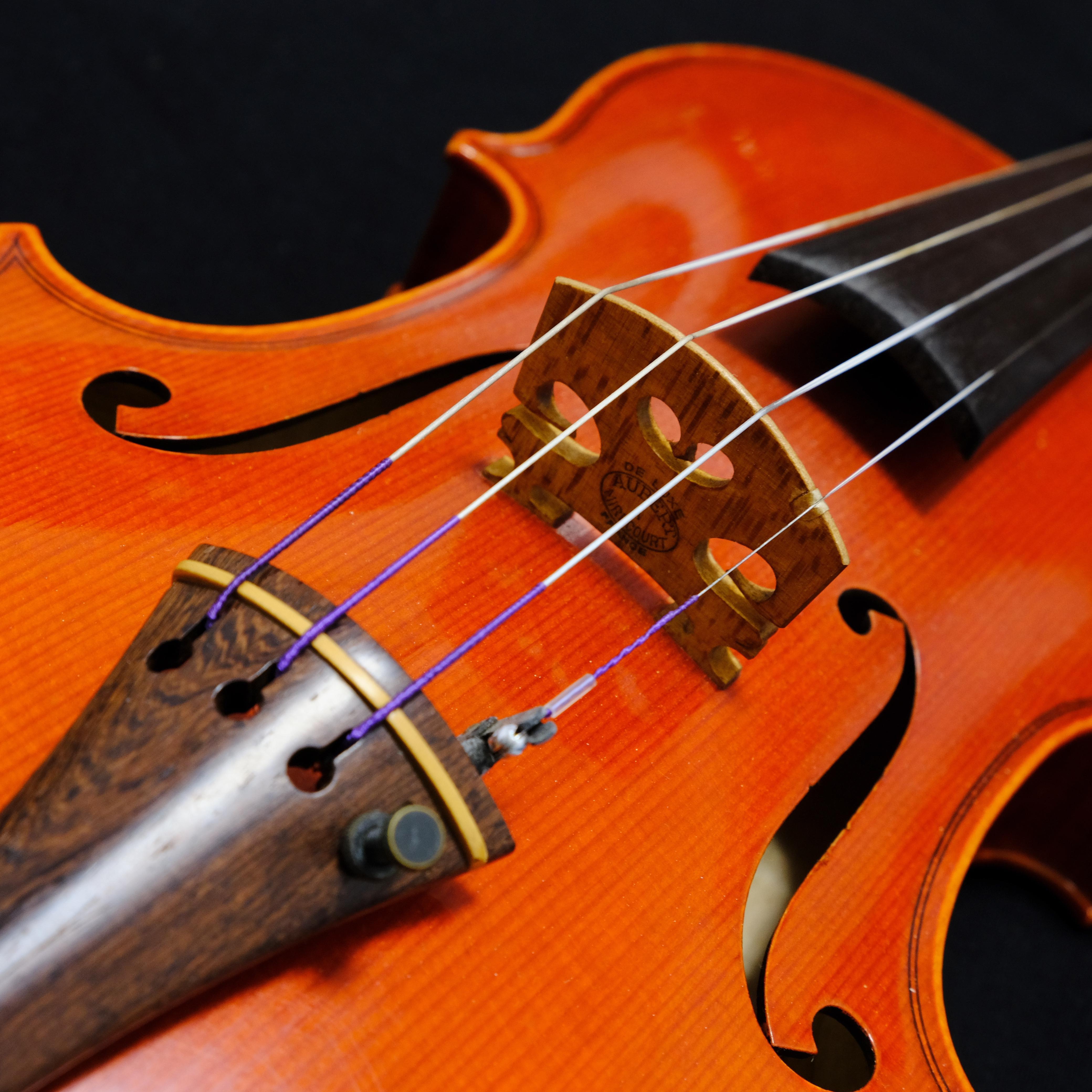 remember our summer (小提琴版)