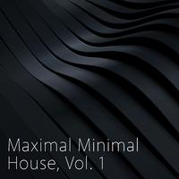 Maximal Minimal House, Vol. 1