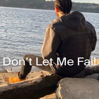 Don't Let Me Fall