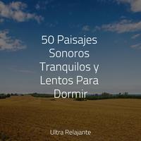 50 Paisajes Sonoros Tranquilos y Lentos Para Dormir