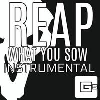 Reap What You Sow (Instrumental)