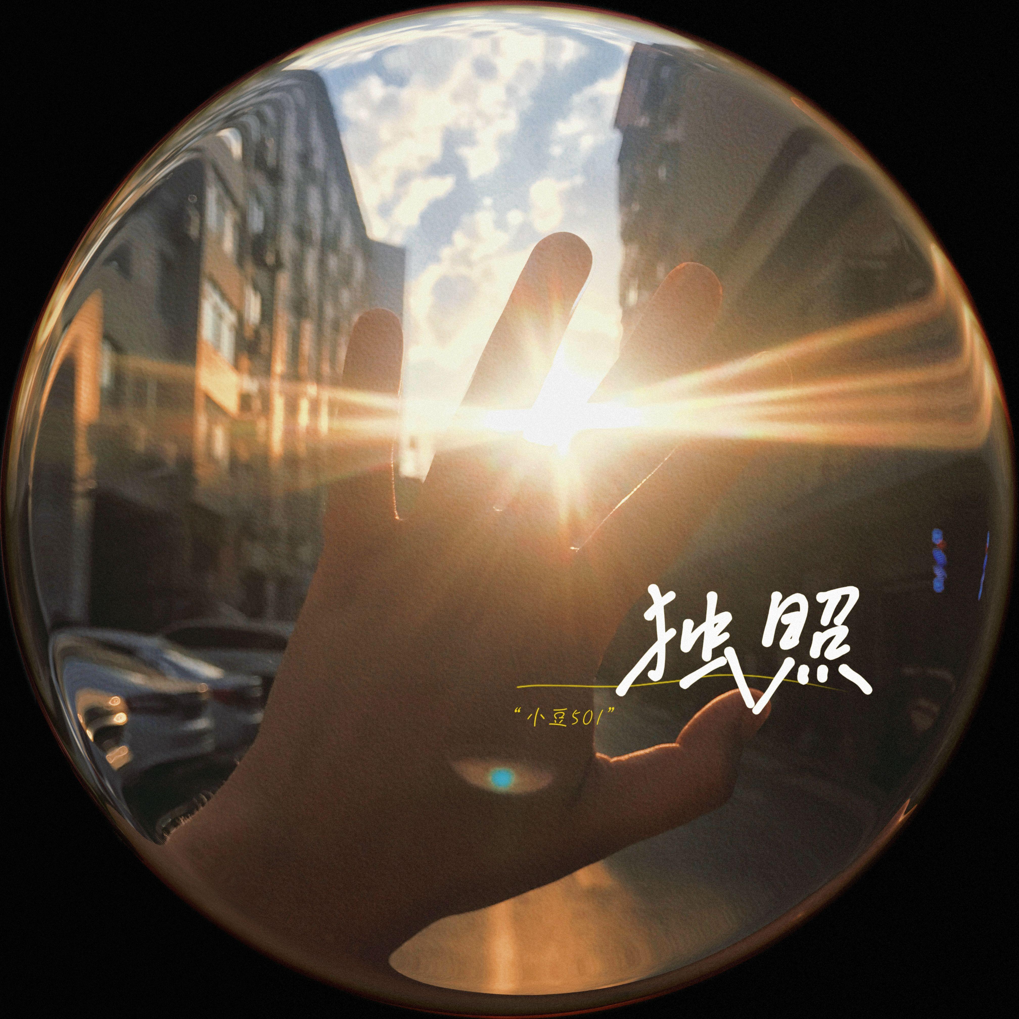 独照 - 小豆501封面