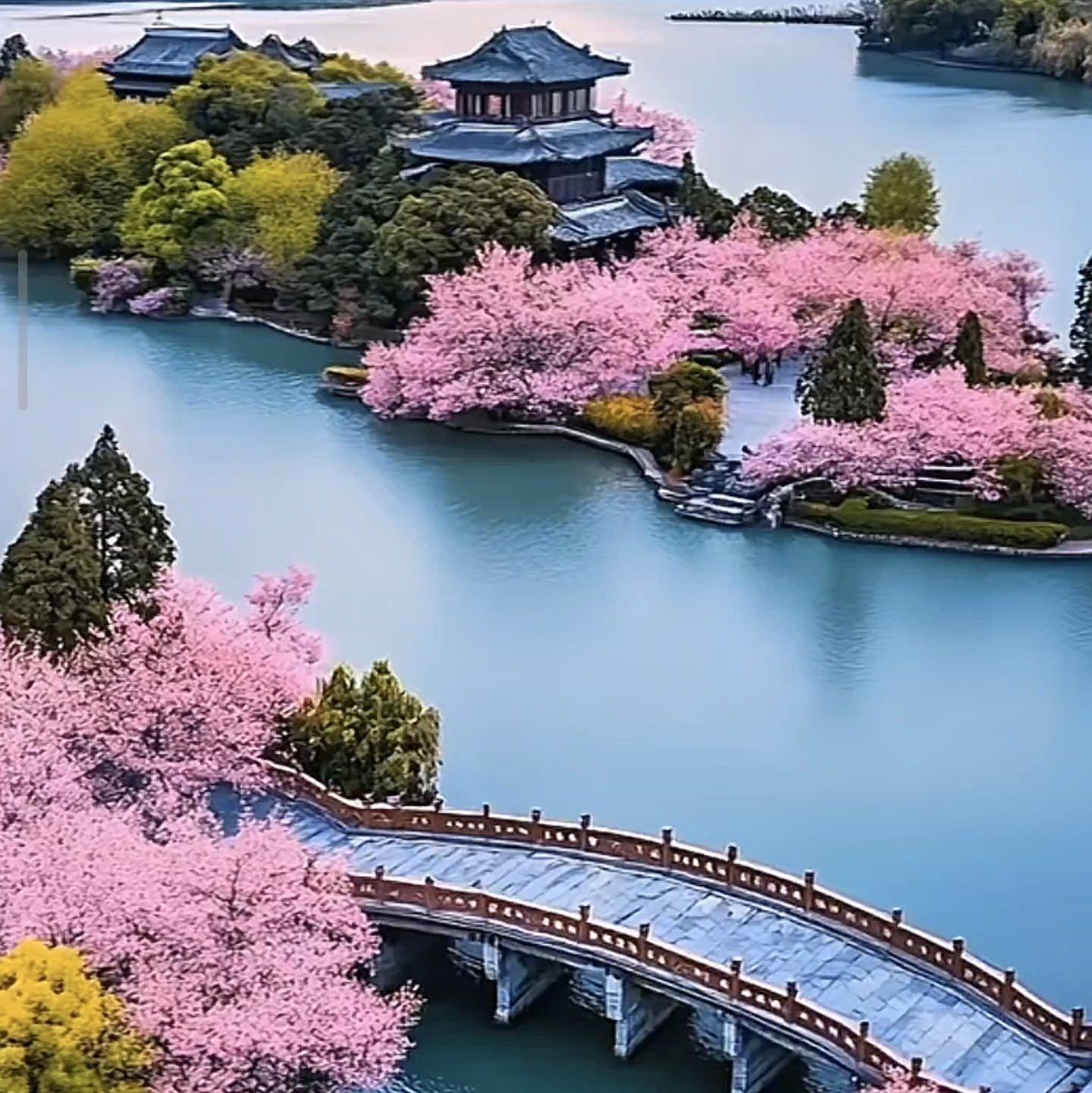 烟花三月封面