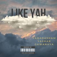 Like Yah (feat. Yashar & Gawanaya)