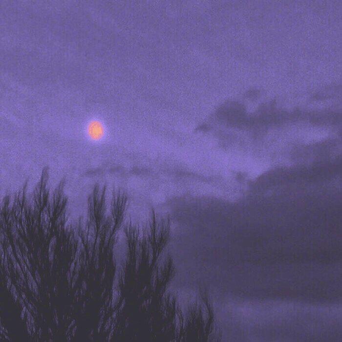 断背山（翻自 吴海啸/Donlise）