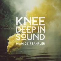 Knee Deep in Sound: Miami 2017 Sampler