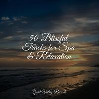 50 Blissful Tracks for Spa & Relaxation